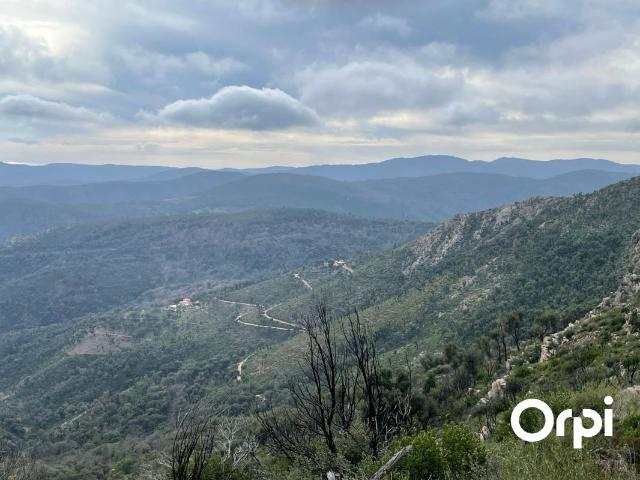 Terrain vente à Arrondissement de Draguignan, La Garde-freinet