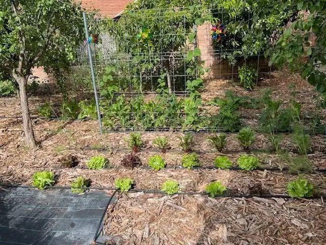 Apartamento en alquiler en Vallès Oriental, Catalunya