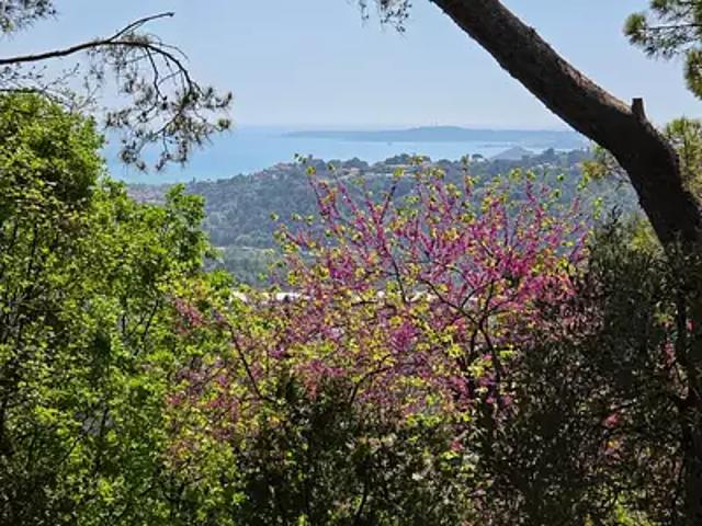 Terrain vente à Grasse, La Gaude