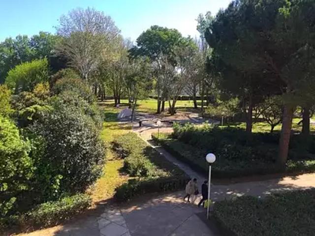 Appartement location à Montpellier, La Grande-motte