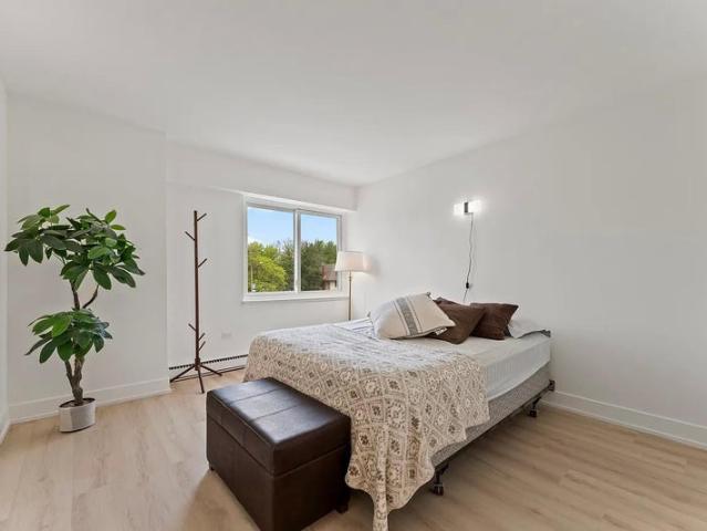 Room for rent in La Grange Park, Illinois