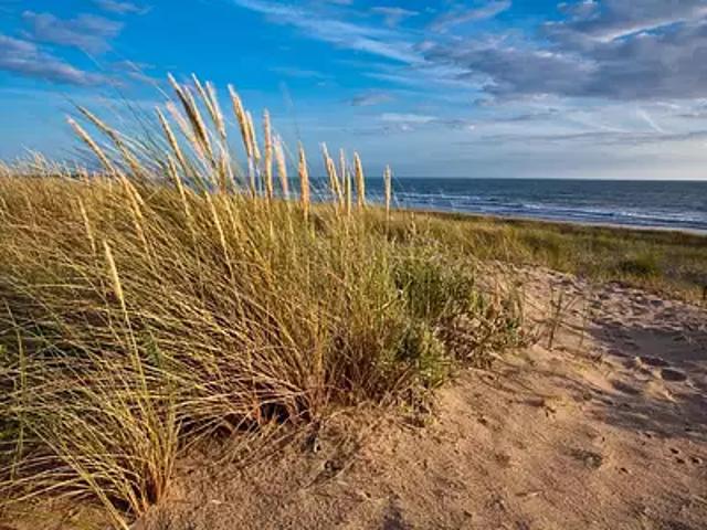 Terrain vente à Les Sables-d'Olonne, La Guérinière