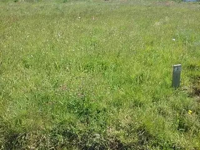 Terrain vente à La Haie-fouassière, Loire-Atlantique