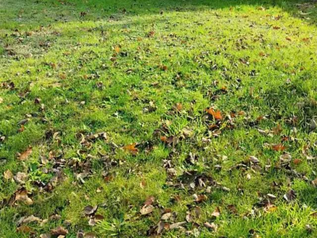Terrain vente à Nantes, La Haie-fouassière