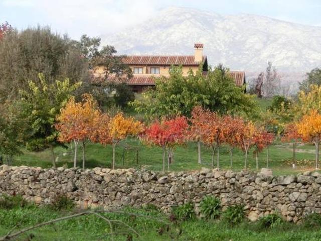 Casa en alquiler en Villanueva De La Vera, Extremadura