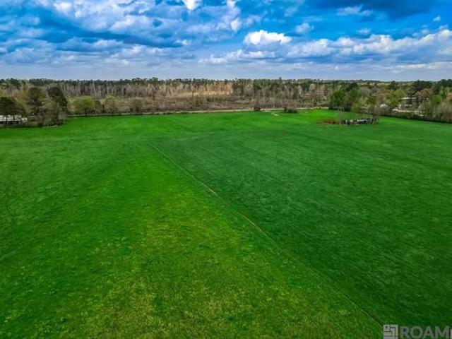 Land for sale in Independence, Louisiana
