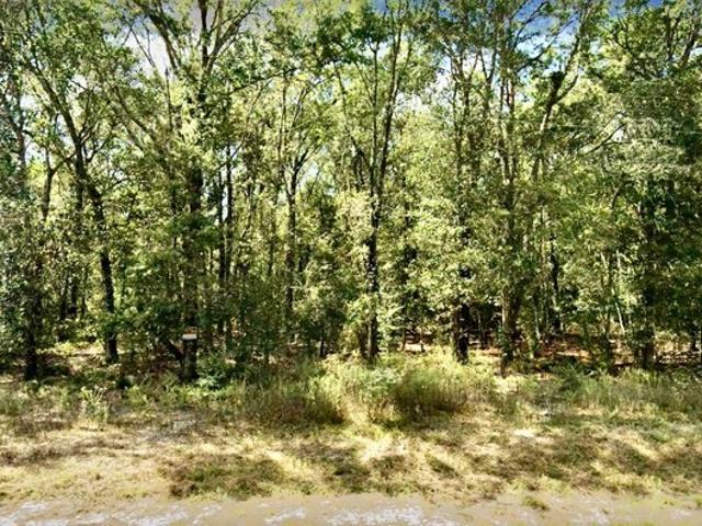 Land for sale in Welsh, Louisiana