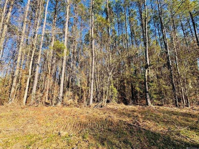 Land for sale in Saint Helena, Louisiana