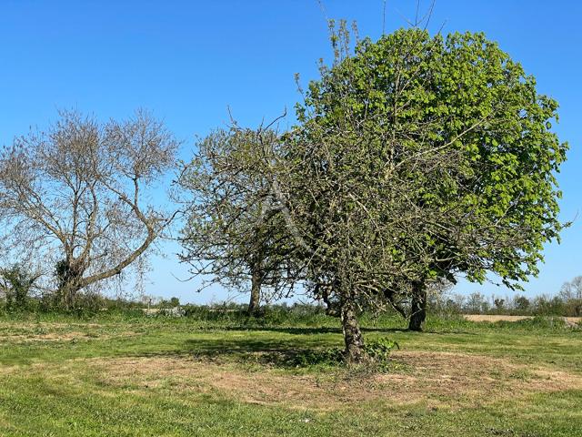 Terrain vente à La Jonchère, Vendée