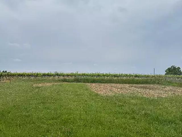 Terrain vente à La Lande-de-Fronsac, Gironde