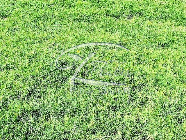 Terrain vente à France métropolitaine, La Lande-de-fronsac