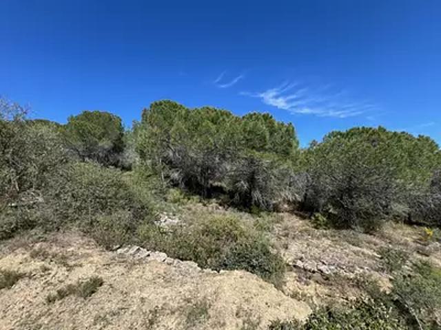 Terrain vente à Béziers, La Livinière