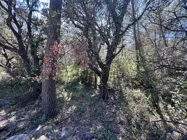 Terrain vente à Béziers, La Livinière