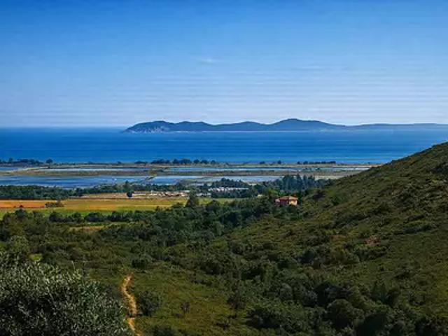 Maison vente à Arrondissement de Toulon, La Londe-les-maures