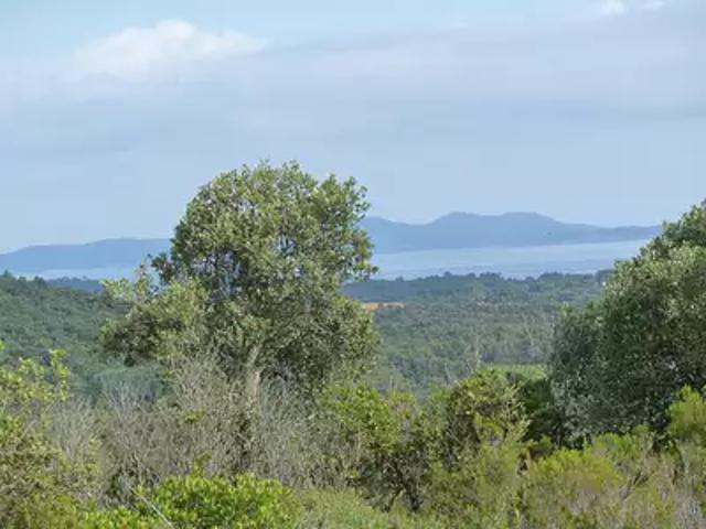 Terrain vente à Arrondissement de Toulon, La Londe-les-maures