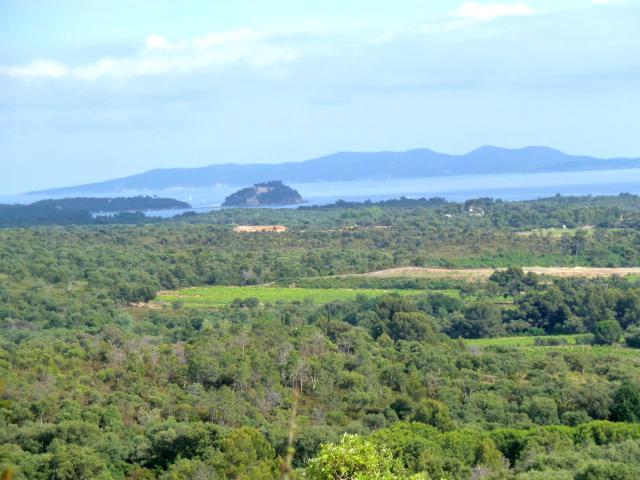 Terrain vente à Arrondissement de Toulon, La Londe-les-maures