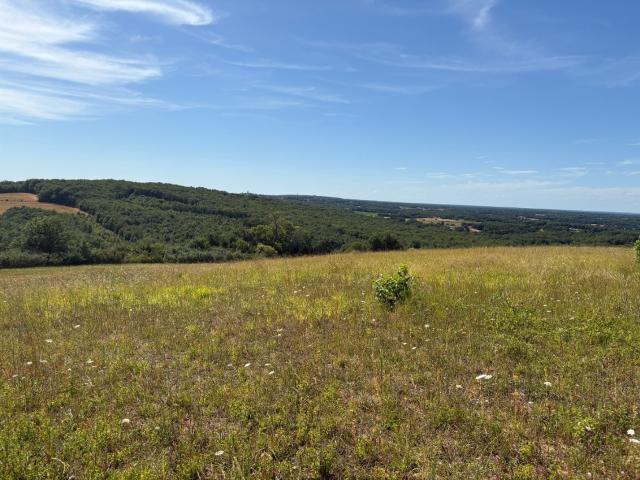 Terrain vente à Toulouse, La Magdelaine-sur-tarn