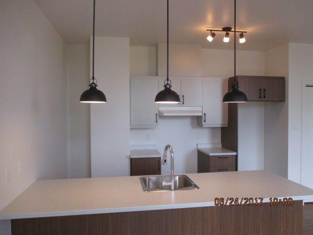 Apartment for rent in Les Maskoutains, Quebec
