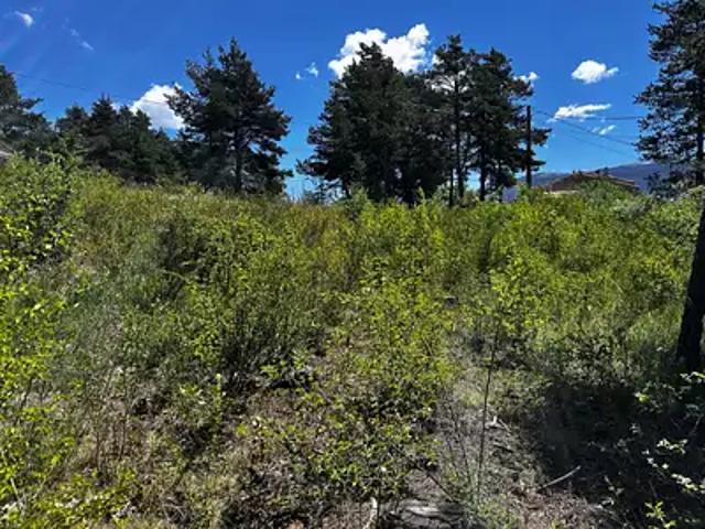 Terrain vente à Arrondissement de Draguignan, La Martre