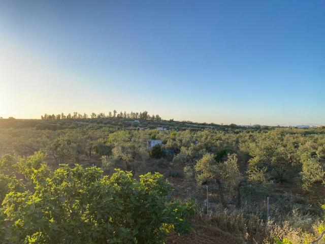 Terreno en venta en Castilleja De La Cuesta, Andalucía