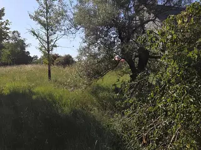 Terrain vente à La Membrolle-sur-Longuenée, Longuenée-en-Anjou