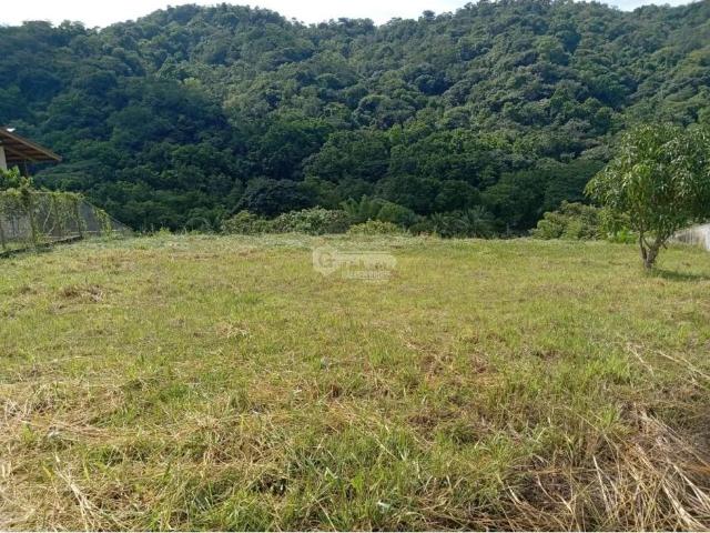 Terreno venta en Bocas del Toro