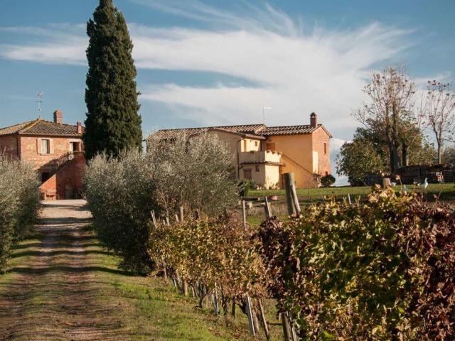 Locale Commerciale in vendita a Abbadia Di Montepulciano, Toscana
