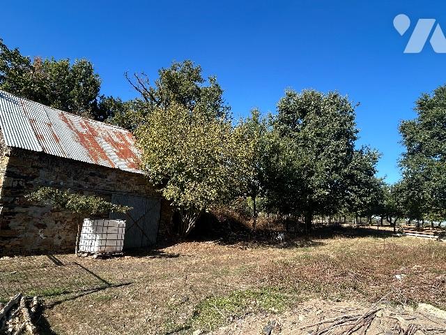 Maison vente à La Noë-Blanche, Ille-et-Vilaine