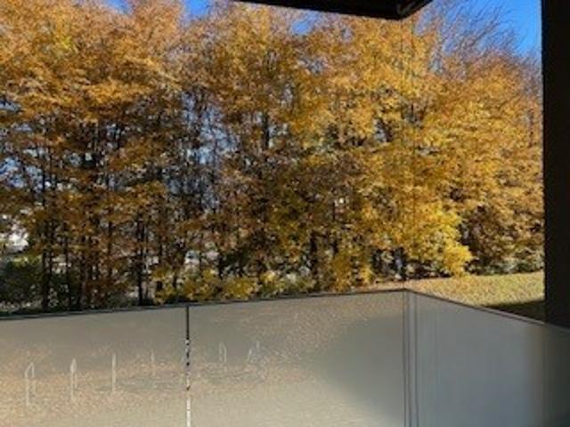 Apartment mieten in Bulle, Freiburg