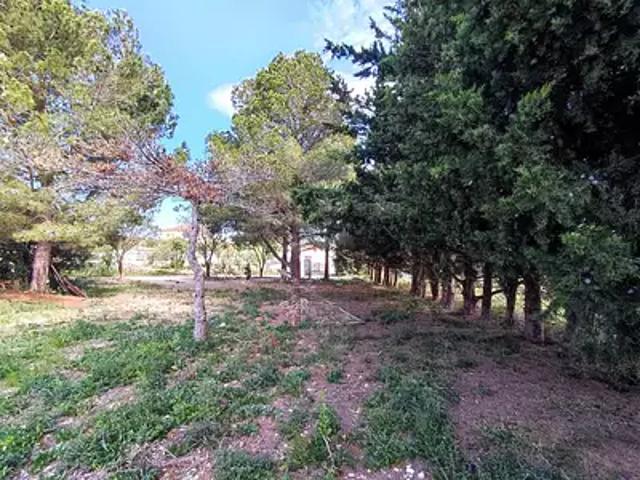 Terrain vente à Narbonne, La Palme