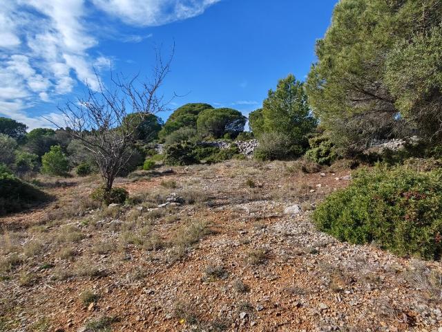 Terrain vente à Narbonne, La Palme