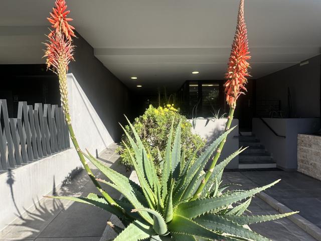 Appartement vente à Marseille