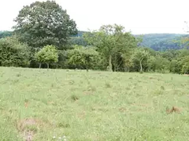 Terrain vente à Saverne, La Petite-pierre
