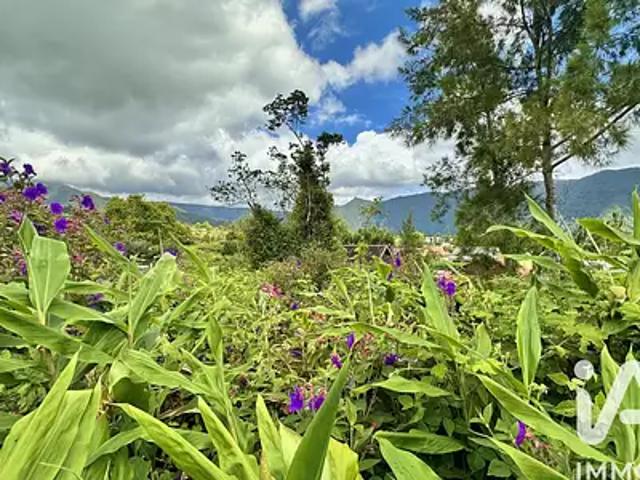 Terrain vente à La Réunion