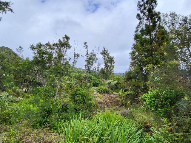 Terrain vente à La Réunion