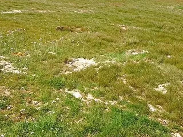 Terrain vente à Saint-Nazaire, La Plaine-sur-mer
