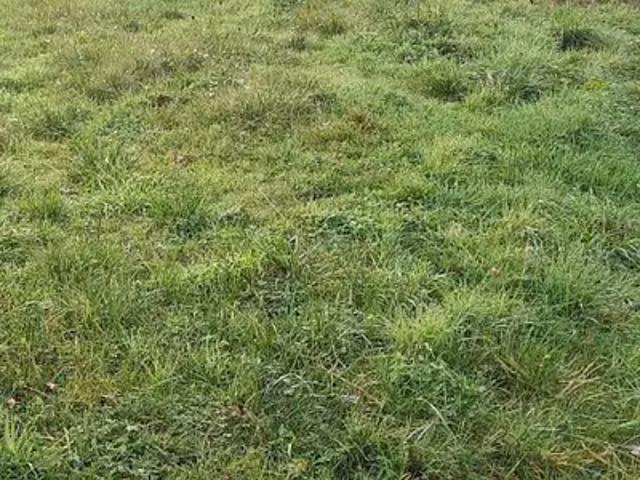 Terrain vente à Saint-Nazaire, La Plaine-sur-mer