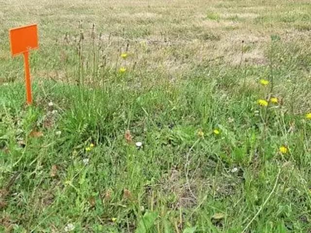 Terrain vente à Saint-Nazaire, La Plaine-sur-mer