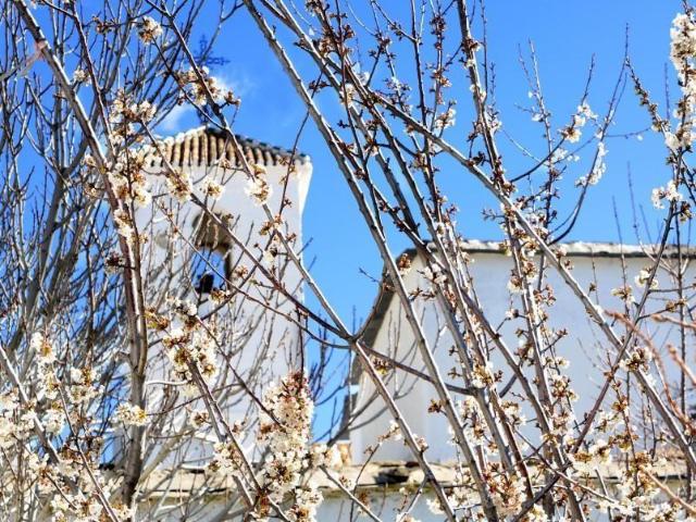 Casa en venta en Comarca de Alhama, Andalucía