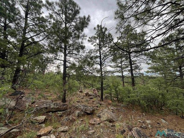 Land for sale in Mora, New Mexico