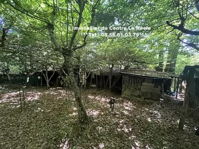 Maison vente à La Réole, Gironde