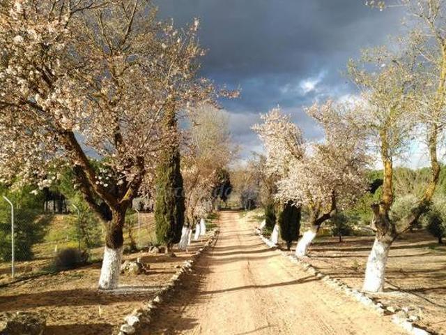 Casa en alquiler en Villarrubia De Los Ojos