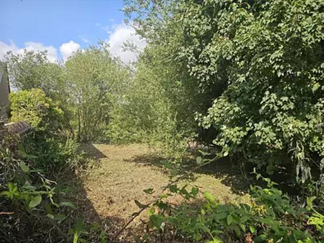 Terrain vente à Lisieux, La Rivière-saint-sauveur