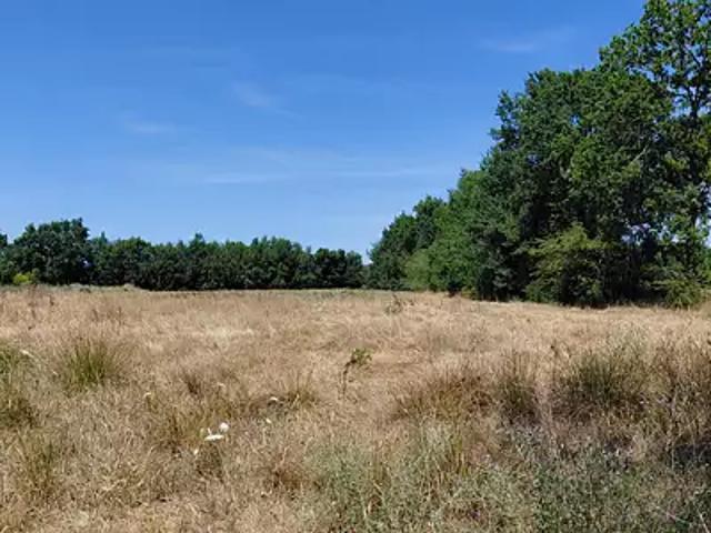 Terrain vente à La Roche-sur-Yon, La Roche-sur-yon