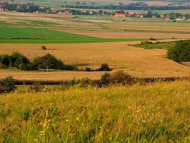 Terrain vente à La Roche-sur-Yon, La Roche-sur-yon
