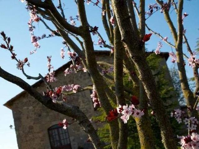 Casa en alquiler en Berguedà, Catalunya