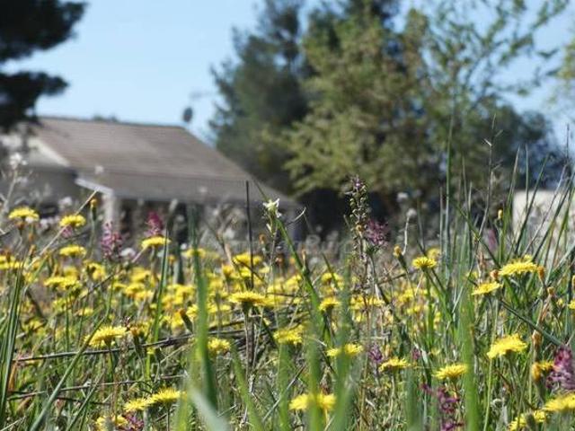 Casa en alquiler en Garrigues, Catalunya