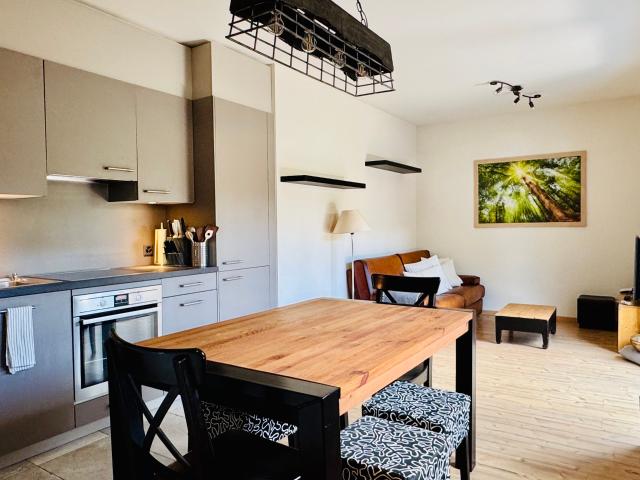 Apartment mieten in Montagnier, Wallis