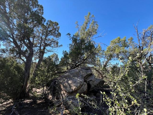 Land for sale in Utah