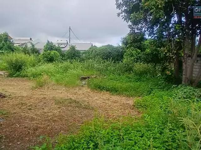 Terrain vente à La Réunion